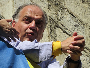 Fires de Girona 2014. Diada castellera amb Marrecs de Salt, Minyons de Terrassa i Capgrossos de Matar&oacute;