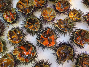 Girona10. Mercat del Lleó. Tastets gastronòmics