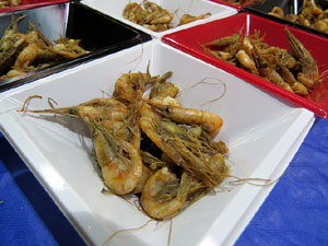 Girona10. Mercat del Lleó. Tastets gastronòmics