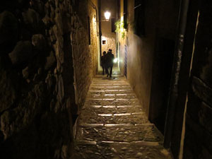 Nadal 2014 a Girona. Miscel&middot;l&agrave;nia d'imatges