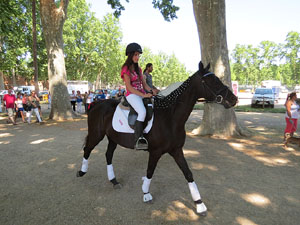 La Cavalcada de Sant Antoni 2015