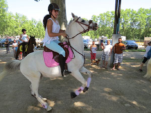 La Cavalcada de Sant Antoni 2015
