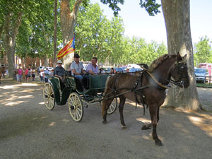 La Cavalcada de Sant Antoni 2015