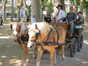 La Cavalcada de Sant Antoni 2015