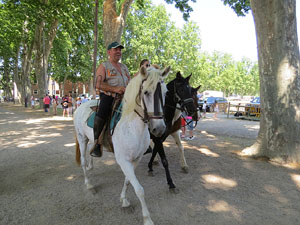 La Cavalcada de Sant Antoni 2015
