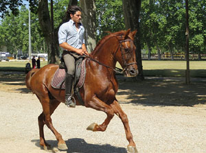 La Cavalcada de Sant Antoni 2015
