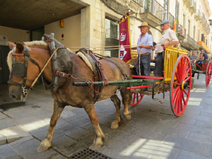 La Cavalcada de Sant Antoni 2015