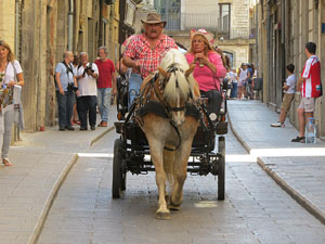 La Cavalcada de Sant Antoni 2015