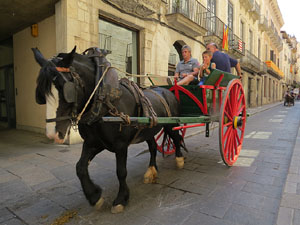 La Cavalcada de Sant Antoni 2015