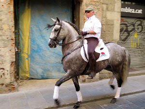 La Cavalcada de Sant Antoni 2015