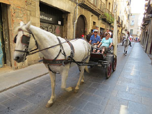 La Cavalcada de Sant Antoni 2015