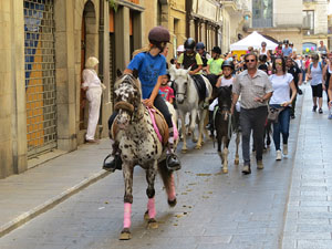 La Cavalcada de Sant Antoni 2015