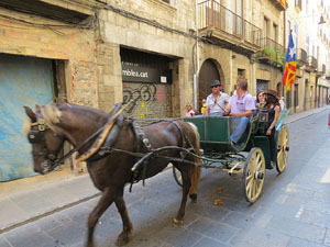 La Cavalcada de Sant Antoni 2015