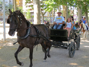 La Cavalcada de Sant Antoni 2015