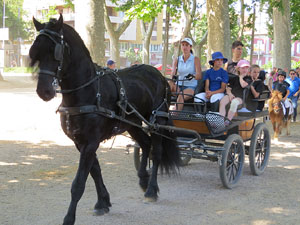 La Cavalcada de Sant Antoni 2015