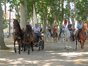 La Cavalcada de Sant Antoni 2015