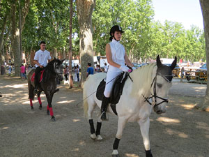 La Cavalcada de Sant Antoni 2015