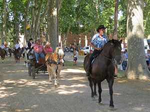 La Cavalcada de Sant Antoni 2015