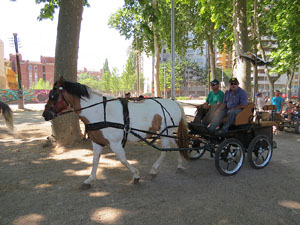 La Cavalcada de Sant Antoni 2015