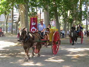 La Cavalcada de Sant Antoni 2015