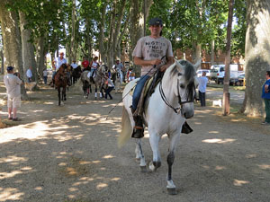 La Cavalcada de Sant Antoni 2015