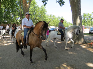La Cavalcada de Sant Antoni 2015