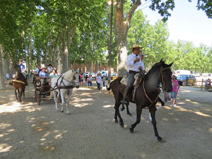 La Cavalcada de Sant Antoni 2015