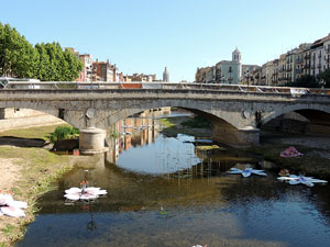 Temps de Flors 2015. La preparaci&oacute;