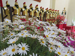 Temps de Flors 2015. La preparaci&oacute;