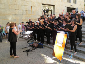 Temps de Flors 2015. M&uacute;sica i Flors. Actuacions musicals a diversos espais