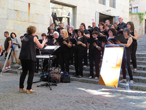 Temps de Flors 2015. M&uacute;sica i Flors. Actuacions musicals a diversos espais