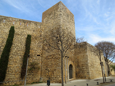 El conjunt defensiu del portal i la torre dels Socors