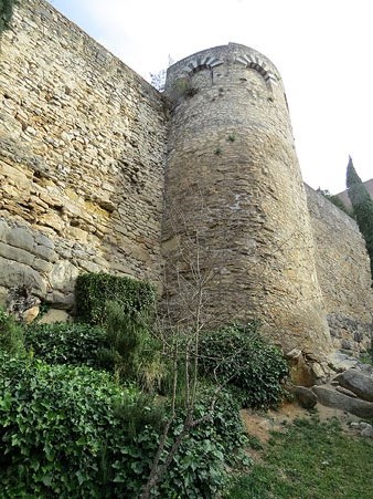Pany de muralla i la torre de les Àligues