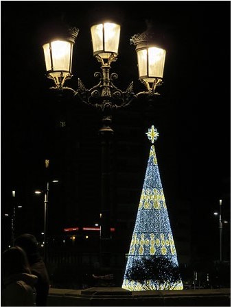 L'arbre de Nadal de la plaça Catalunya, des del Pont de Pedra