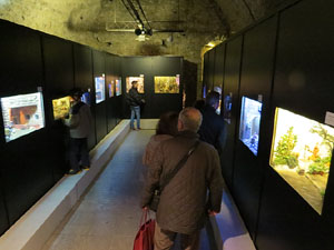 Nadal 2015 a Girona. Exposició de pessebres a la Carbonera, organitzada per l'Associació de Pessebristes de Girona 