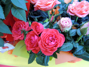 Sant Jordi 2016 a Girona