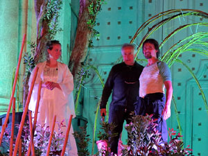 Temps de Flors 2016. Espectacle Lymbus, a c&agrave;rrec de Comediants, a les escales de Sant Feliu