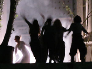 Temps de Flors 2016. Espectacle Lymbus, a c&agrave;rrec de Comediants, a les escales de Sant Feliu