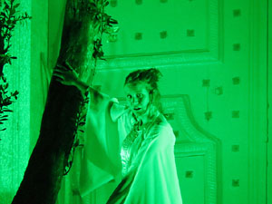 Temps de Flors 2016. Espectacle Lymbus, a c&agrave;rrec de Comediants, a les escales de Sant Feliu