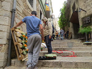 Temps de Flors 2016. Making of de l'esdeveniment