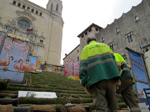 Temps de Flors 2016. Making of de l'esdeveniment