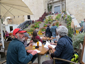 Temps de Flors 2016. Making of de l'esdeveniment