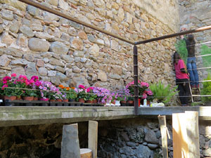 Temps de Flors 2016. Making of de l'esdeveniment