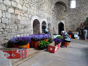 Temps de Flors 2016. Making of de l'esdeveniment