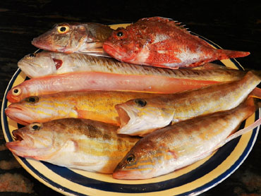Els peixos de la sopa de peix