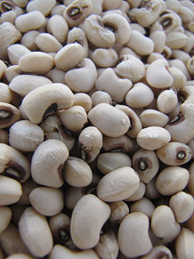 Ecocabàs, mercat ecològic i artesanal