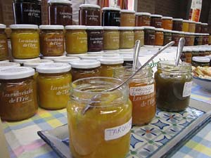 Eco.Si 2013. Fira de la cultura ecol&ograve;gica de Girona