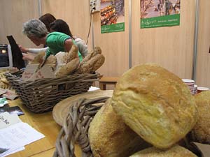 Eco.Si 2013. Fira de la cultura ecol&ograve;gica de Girona