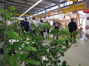 Eco.Si 2013. Fira de la cultura ecol&ograve;gica de Girona