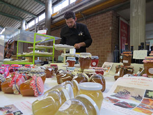 Eco.Si 2015. Fira de la cultura ecol&ograve;gica de Girona